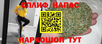 тгк Тула