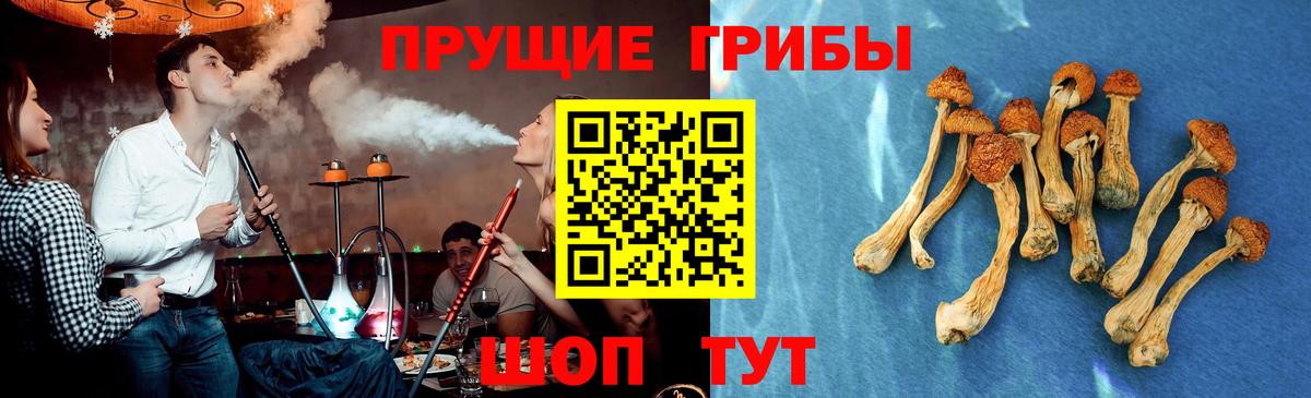 Псилоцибиновые грибы прущие грибы Орёл